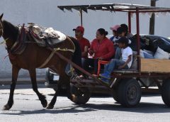 CONTINÚAN LAS ACCIONES PARA LA ERRADICACIÓN DE LA TRACCIÓN ANIMAL, A TRAVÉS DE LA PROMOCIÓN DEL DIRECTORIO DE RECOLECTORES MOTORIZADOS